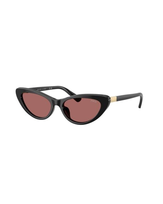 Polo Ralph Lauren Black Sunglasses Ph4199U