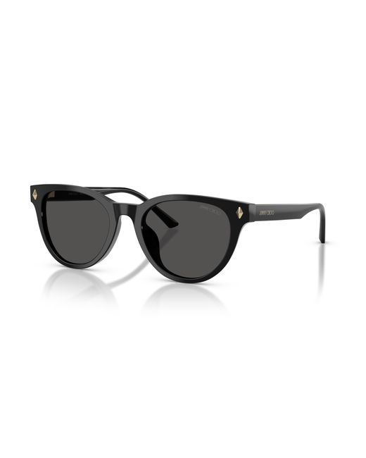 Jimmy Choo Black Sunglass Jc5043d