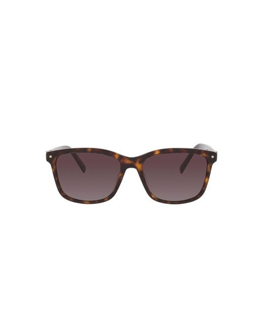 Dior Black Sunglass Petit Cd S2i