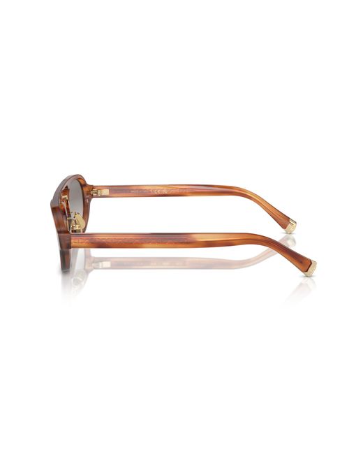 Brunello Cucinelli Black Sunglasses Bc4008S