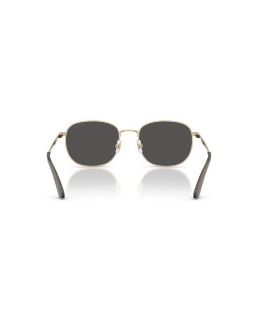 Jimmy Choo Black Sunglass Jc4025b