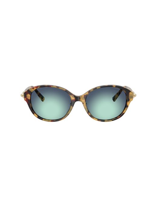 Tiffany & Co Black Sunglass Tf4263d