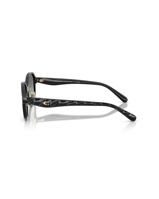 COACH Black Sunglass Cby85