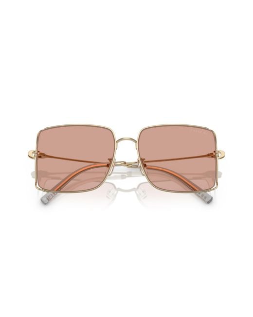 COACH Black Sunglass Cw429