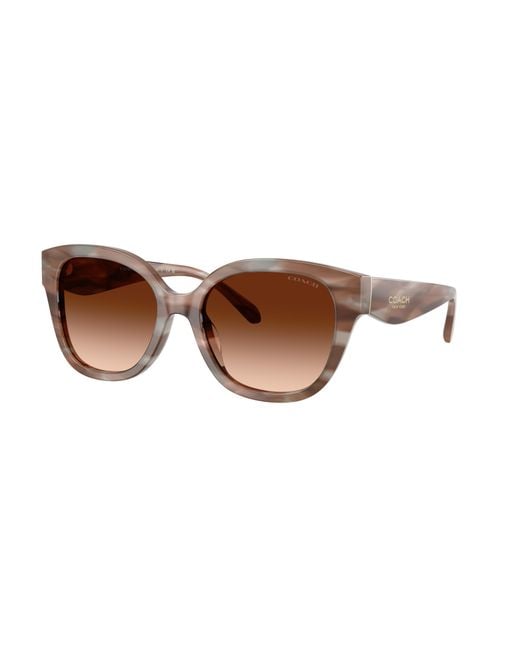 COACH Black Sunglass Cby94