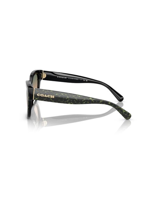 COACH Black Hc8379u Universal Fit Sunglasses