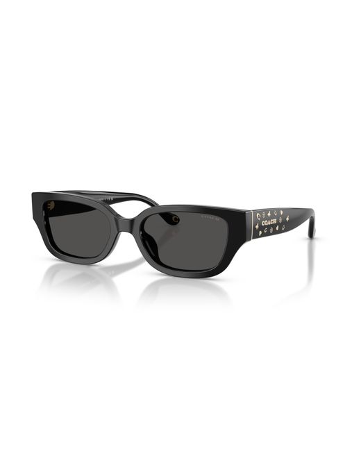 COACH Black Sunglass Cbz52