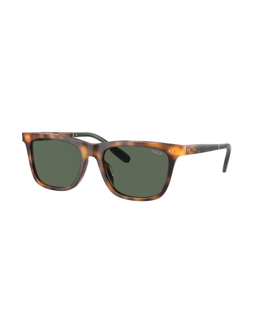 Polo Ralph Lauren Black Sunglass Ph4205u for men