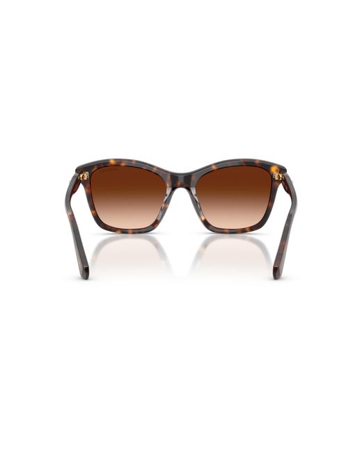 Swarovski Black Sunglass Sk6063