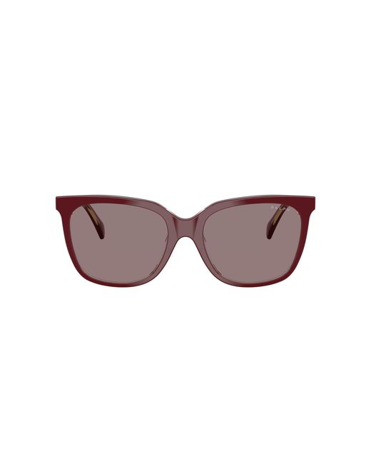Ralph Black Sunglass Ra5343u