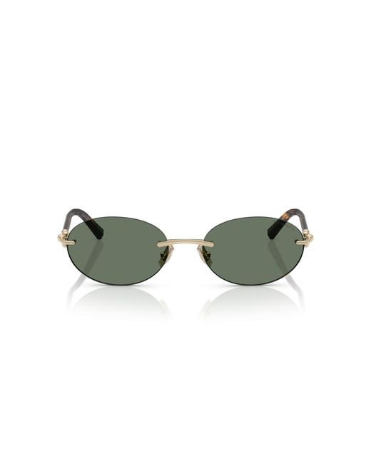 Tiffany & Co Black Sunglasses Tf3104D