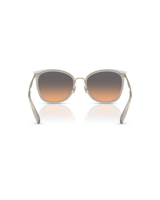 COACH Black Sunglass Cw185