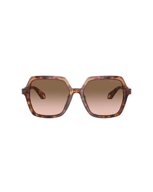 Giorgio Armani Black Sunglass Ar8193u