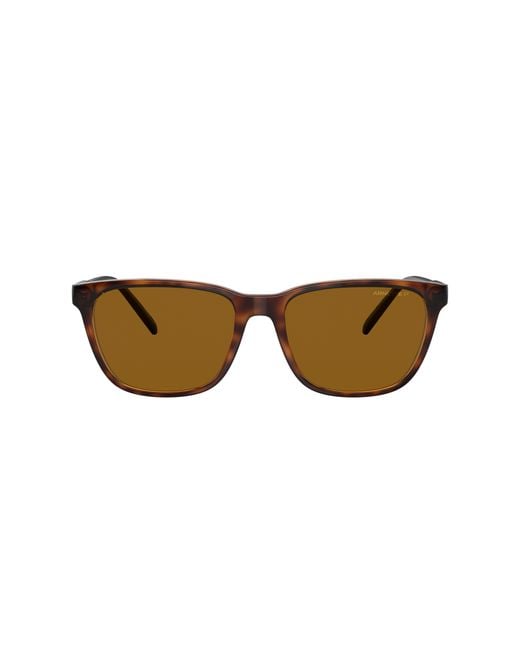 Arnette Black Sunglass An4291 Cortex for men