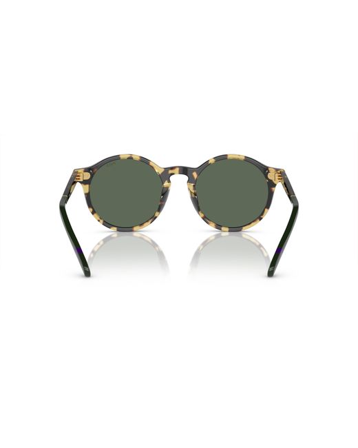 Polo Ralph Lauren Green Sunglass Ph4204u for men