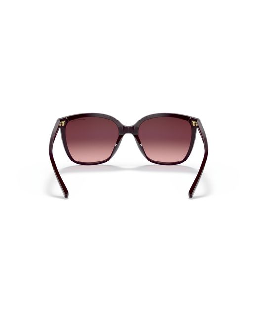 Michael Kors Black Sunglass Anaheim