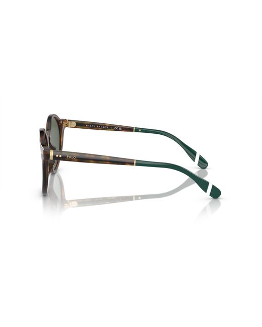 Polo Ralph Lauren Green Sunglass Ph4204u for men