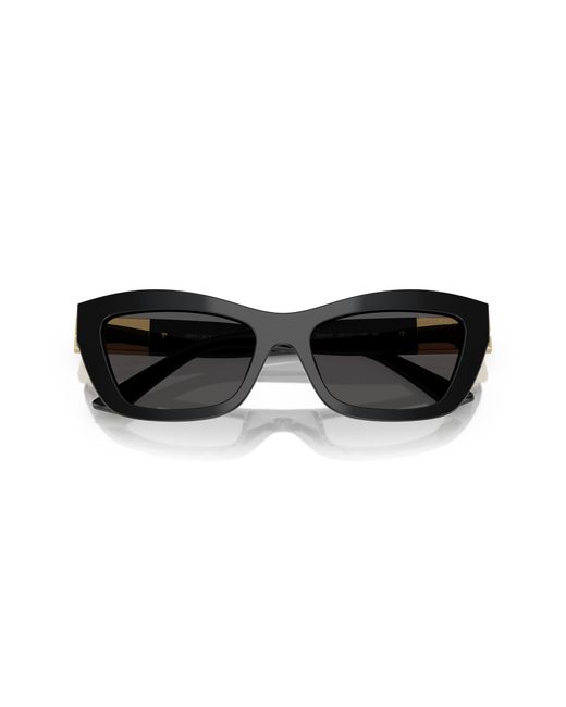 Jimmy Choo Black Sunglass Jc5030u