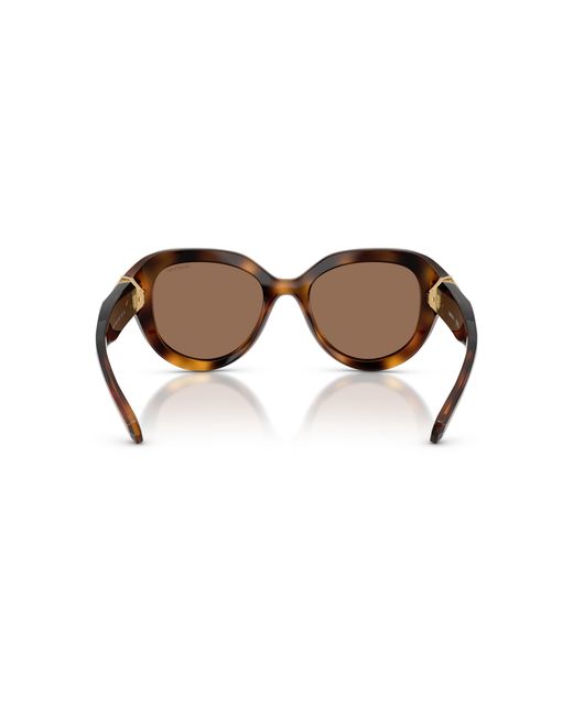 Swarovski Black Sunglass Sk6037