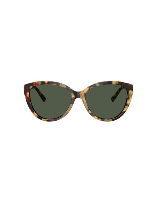 Tiffany & Co Black Sunglass Tf4251