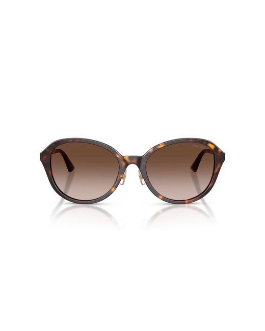 Jimmy Choo Black Sunglass Jc5044d
