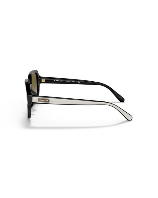COACH Black Hc8335u Universal Fit Sunglasses