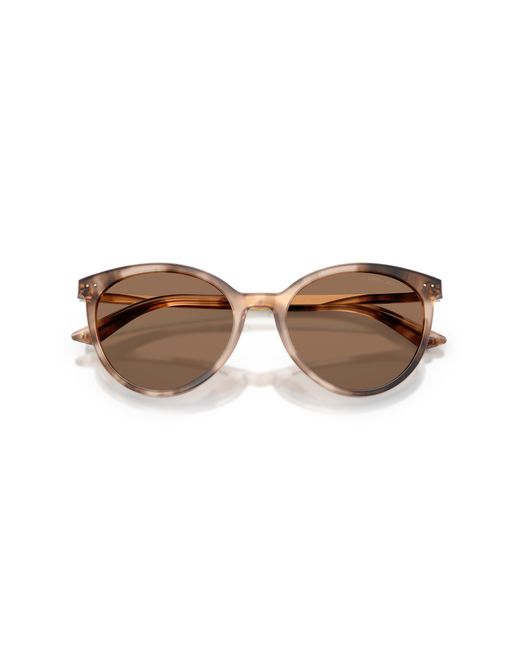 Jimmy Choo Black Sunglass Jc5060