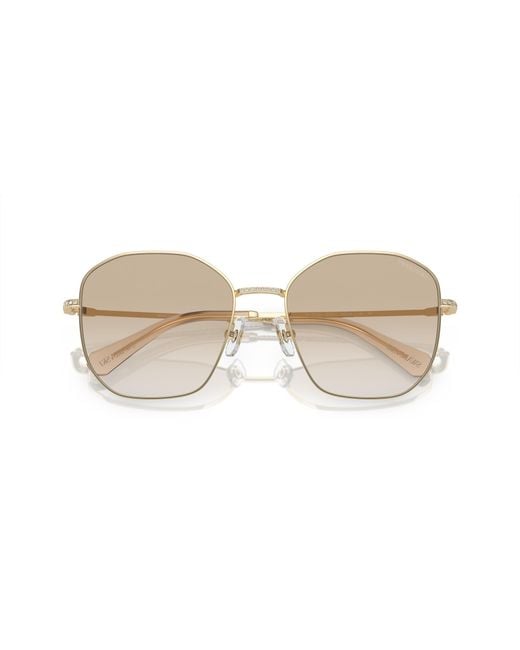 Swarovski Black Sunglass Sk7012d