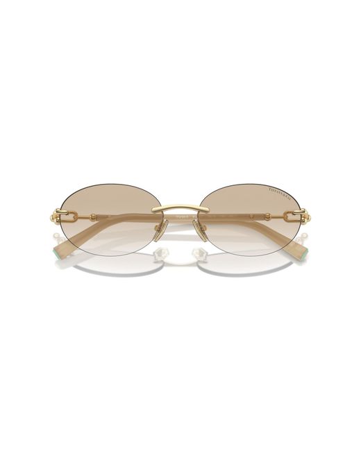 Tiffany & Co Black Sunglass Tf3104d