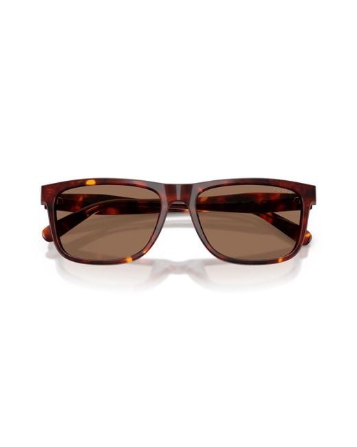 COACH Black Sunglass Cdp55 for men