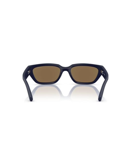 Arnette Black Sunglass An4350 Curbside for men