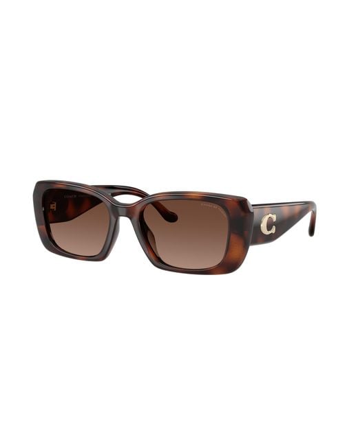 COACH Black Sunglass Hc8435u Cby82