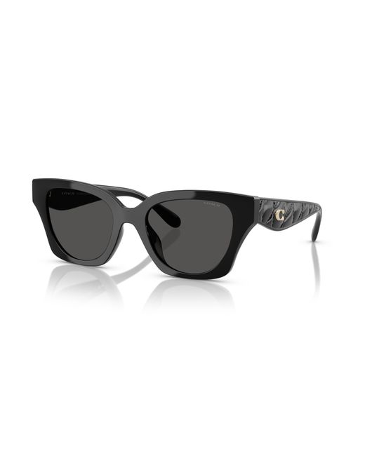 COACH Black Sunglass Cad18