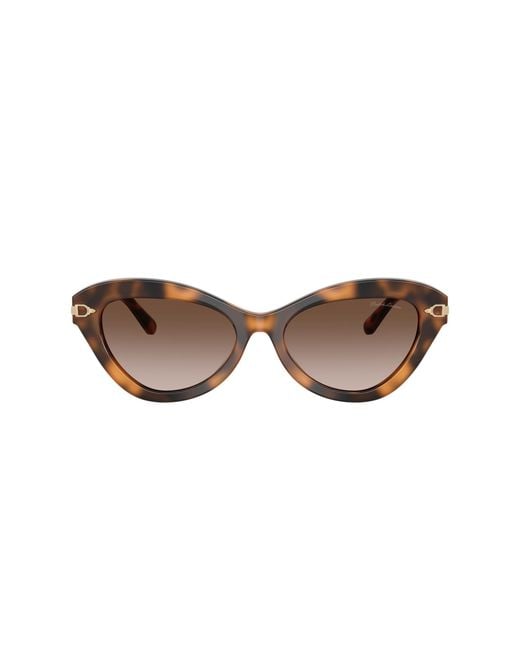 Ralph Lauren Black Sunglass Rl8236u