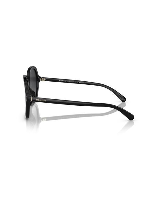 COACH Black Sunglass Hc8360u Ch557
