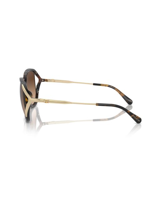 COACH Black Sunglass Cr620