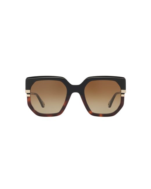Chloé Black Sunglass CH0240S