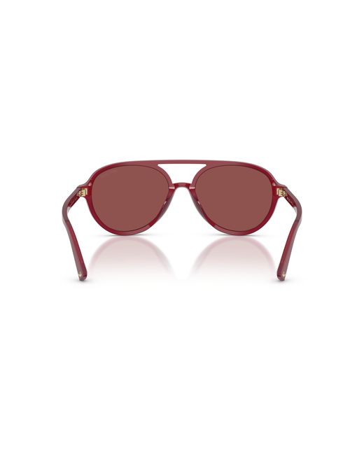 Jimmy Choo Black Sunglass Jc5055u