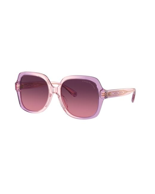 COACH Black Sunglass Cr614