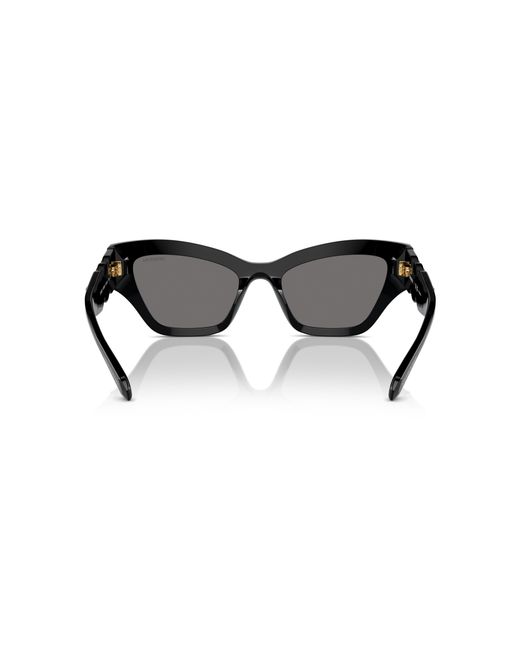 Swarovski Black Sunglass Sk6021