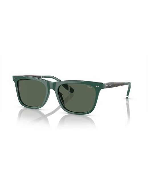Polo Ralph Lauren Green Sunglasses Ph4205u for men