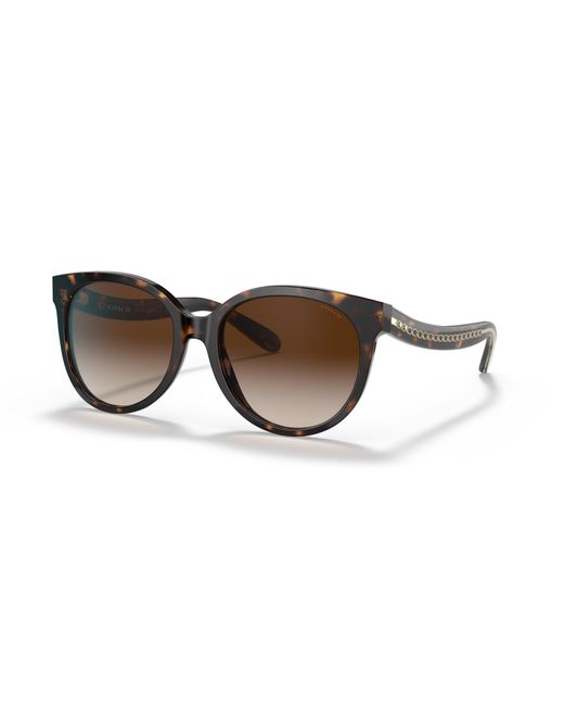 COACH Black Sunglasses Hc8321f