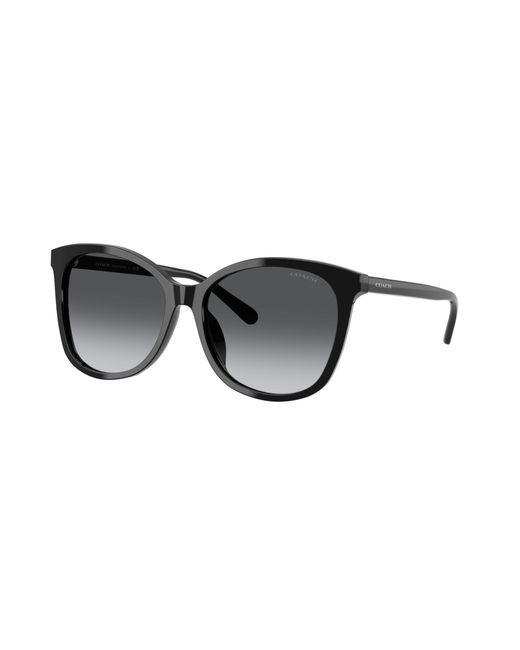 COACH Black Hc8271u Universal Fit Sunglasses