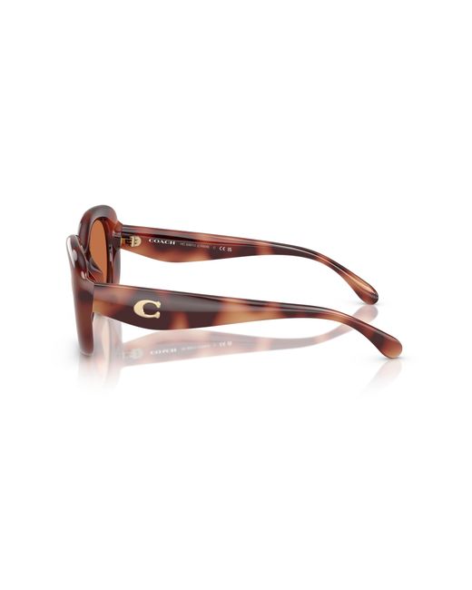 COACH Black Sunglass Cr609