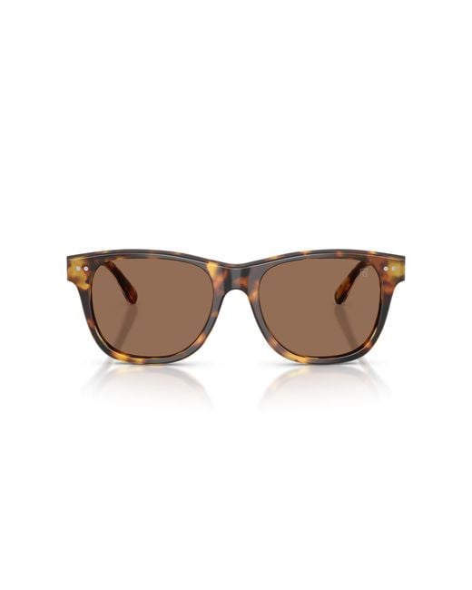 Ralph Lauren Black Sunglass Rl8239u for men