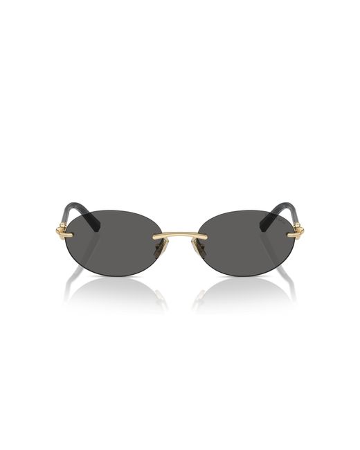 Tiffany & Co Black Sunglasses Tf3104D