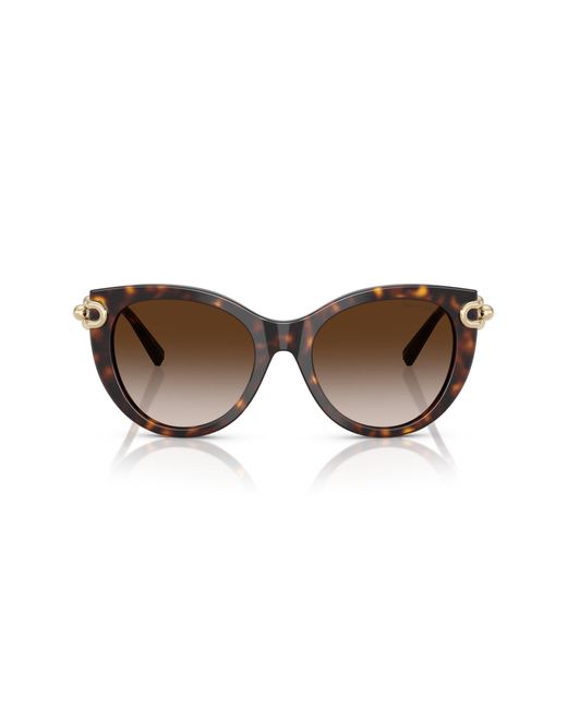 Tiffany & Co Black Sunglass Tf4232