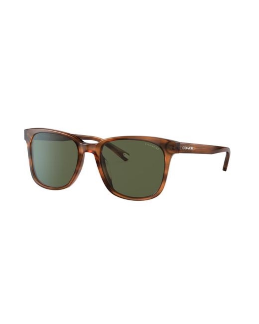 COACH Black Sunglass Hc8313u C2095 for men