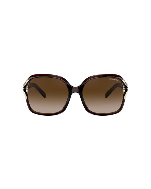 Sunglass Hut Collection HU2003 55 Gradient Brown & Striped Havana Sunglasses
