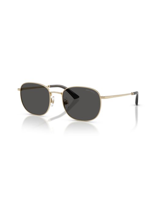 Jimmy Choo Black Sunglass Jc4025b